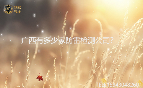 鈞和電子防雷檢測