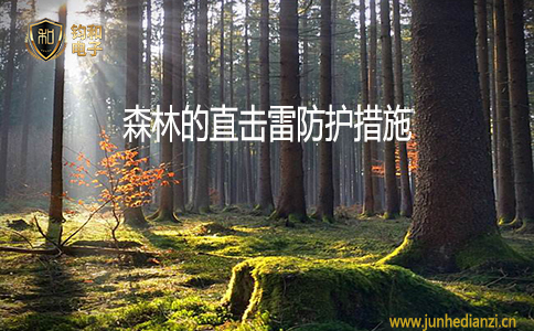 鈞和電子森林的直擊雷防護措施