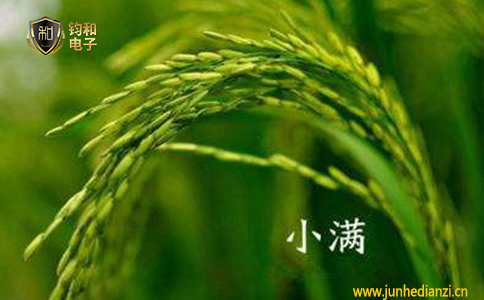 鈞和電子小滿時節注意防雷哦