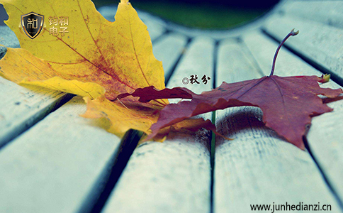 鈞和電子秋分時節防雷