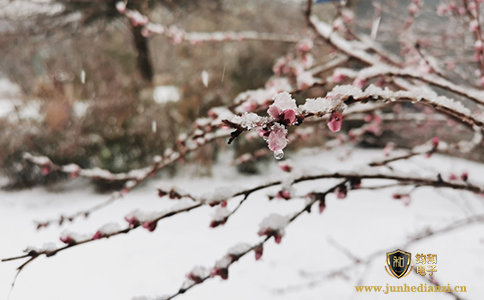 鈞和電子分享大規模雨雪上線，部分地區有雷暴